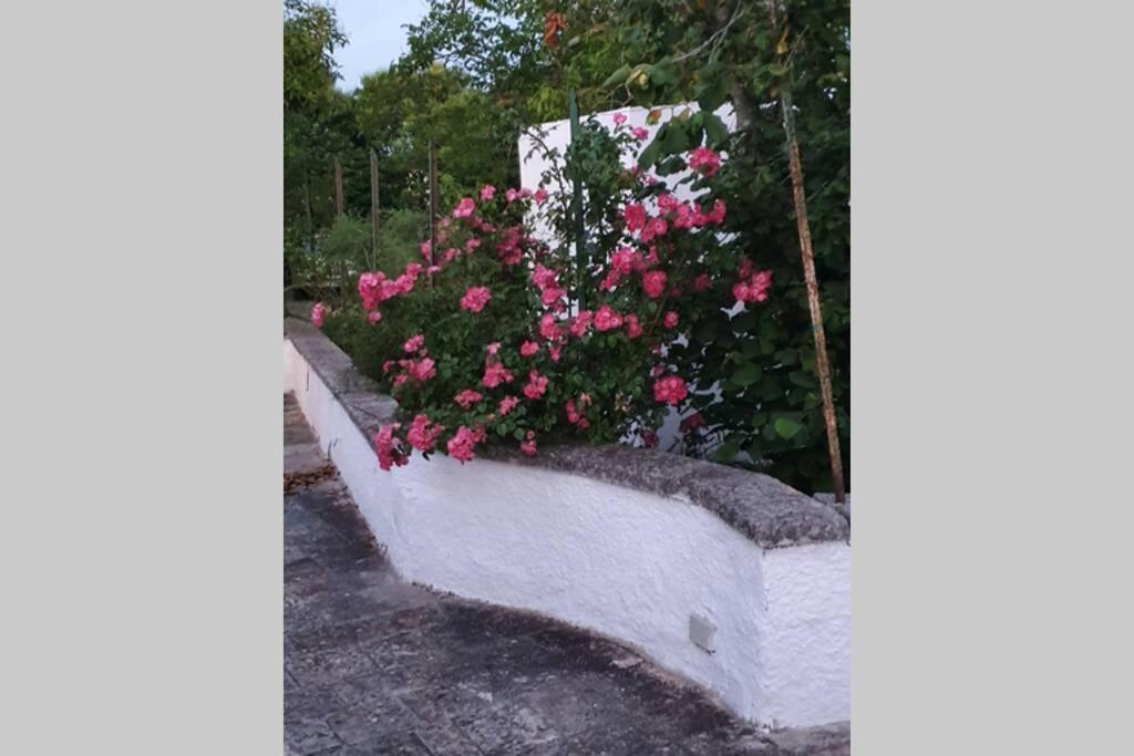 Trulli Relax A Martina Franca 빌라 외부 사진