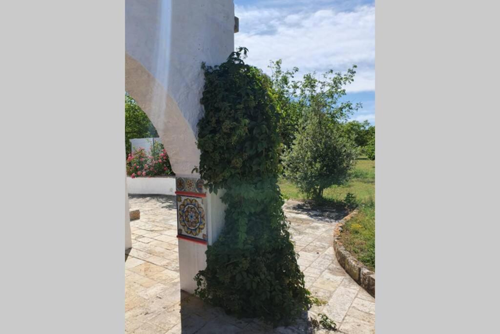 Trulli Relax A Martina Franca 빌라 외부 사진